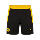 Borussia Dortmund Casa Calções 2026/27 Preto